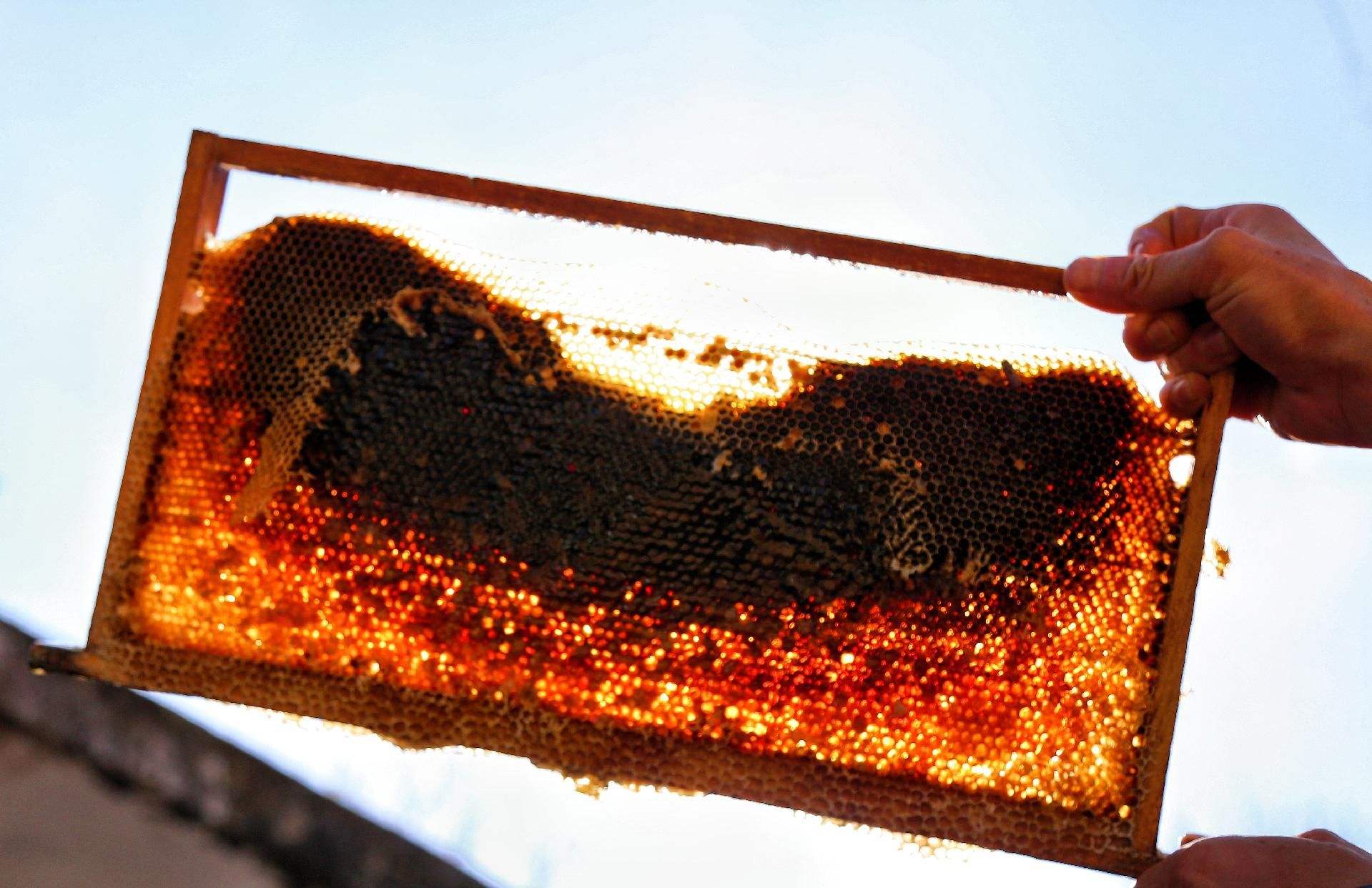 分析！快播库“星星点点”