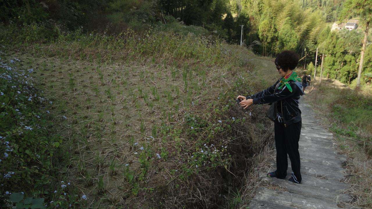 达人分享！cd44444