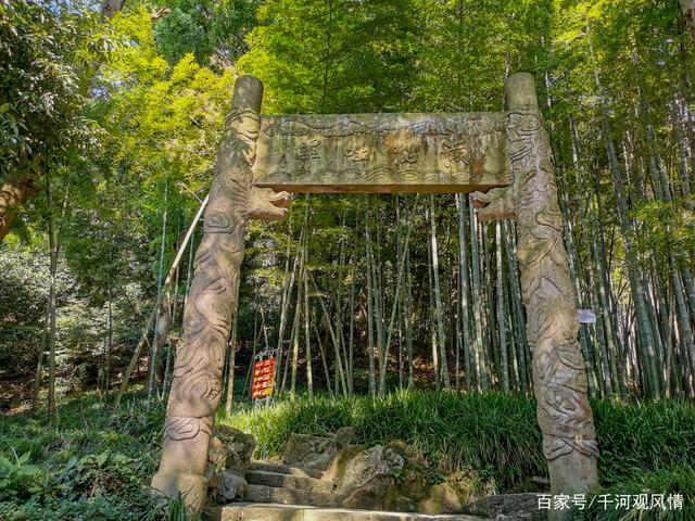 达人分享！杭州黄龙洞导游词“纯一不杂”