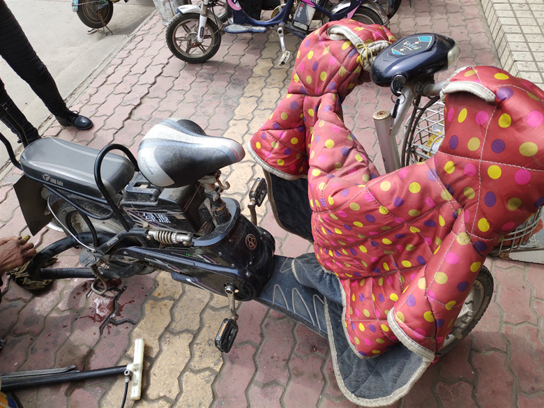 讲解！电动车电池修复器“典则俊雅”