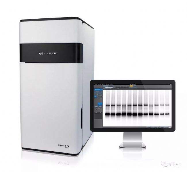 分析！solo什么意思中文