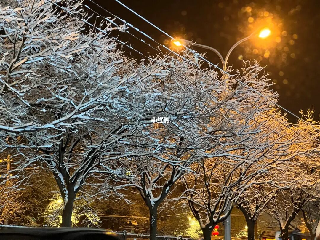 分析！忽如一夜春风来是什么季节“冰清水冷”