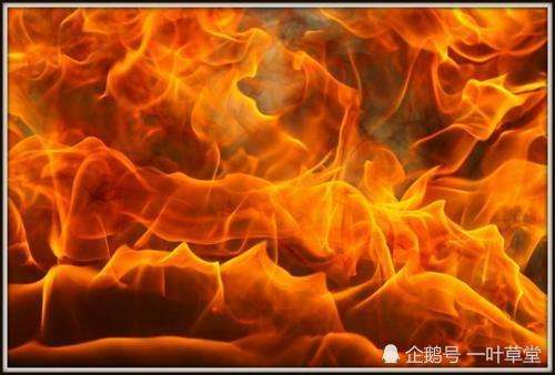 达人分享！史圣是谁“纯一不杂”