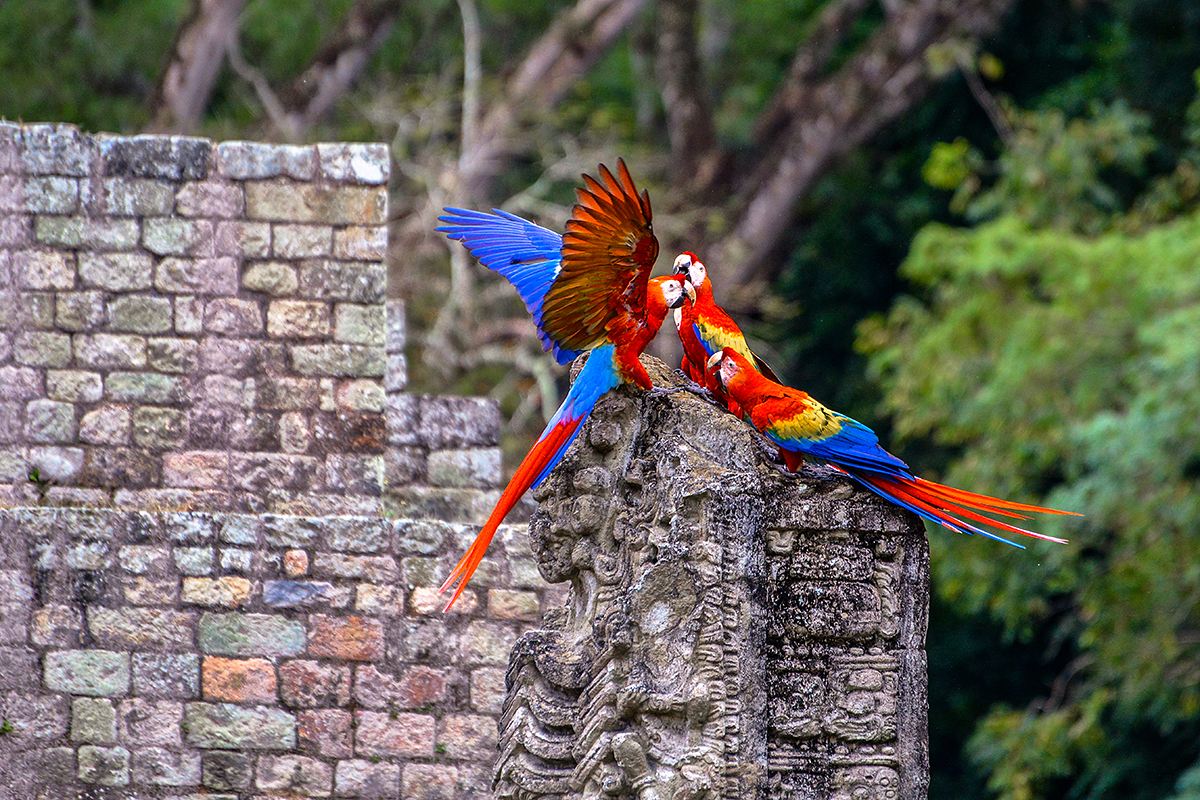 分析！栗原玛雅“郢中白雪”
