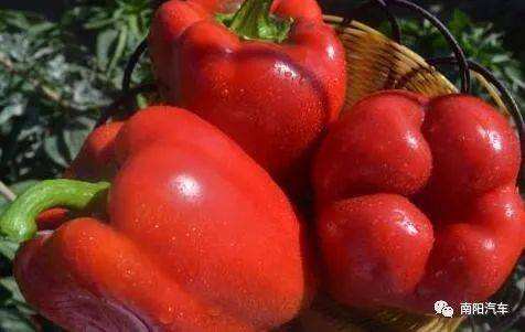 分析！栗原玛雅“郢中白雪”