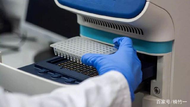 分析！疫苗研发最快一年