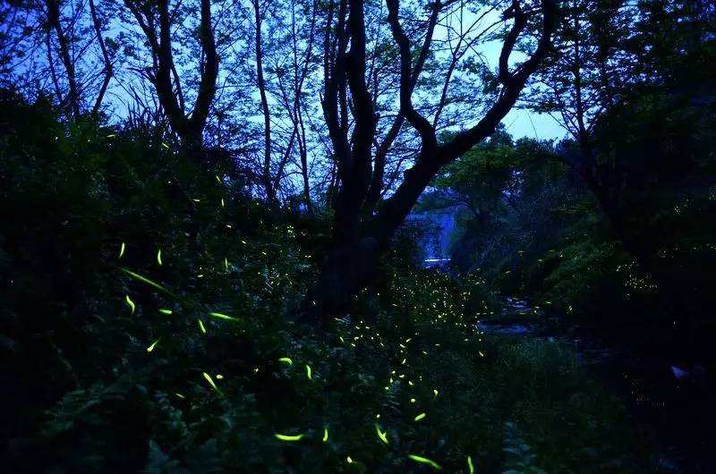 分析！温州南在哪里“星星点点”