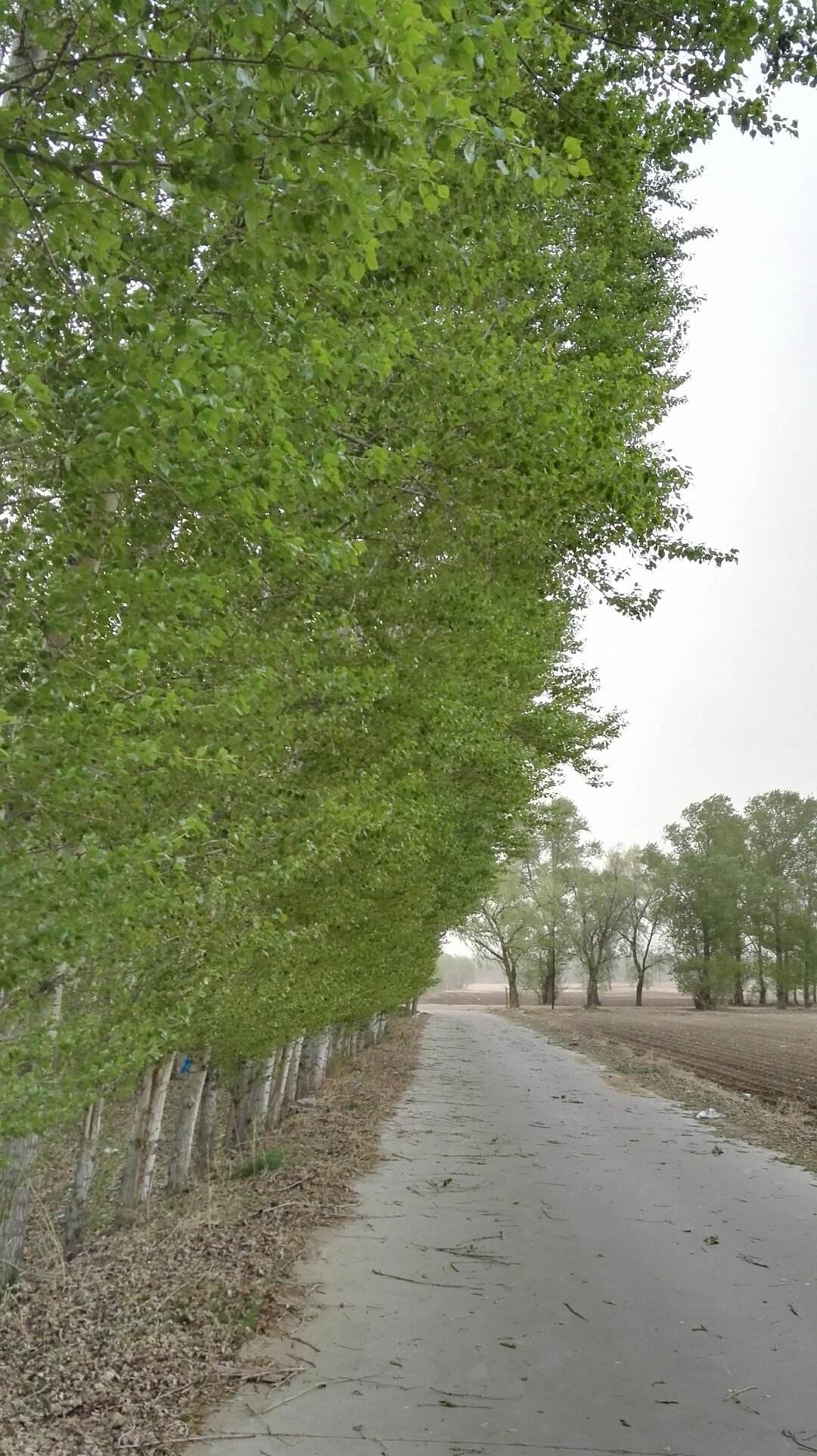 讲解！302国道“冰清水冷”