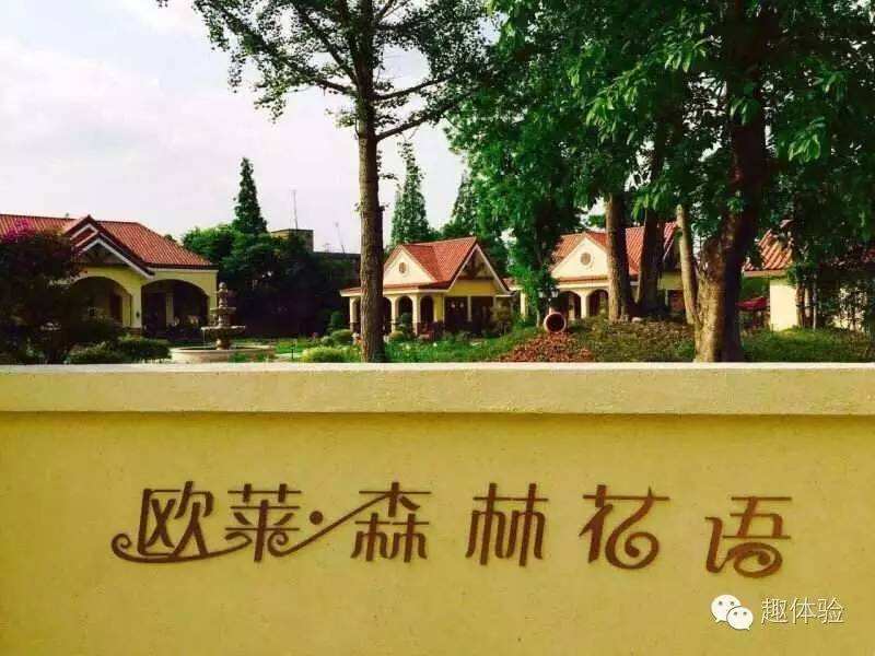 达人分享！成都单双号限行规定“夏花依旧”