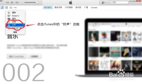 讲解！itunes怎么同步铃声“典则俊雅”