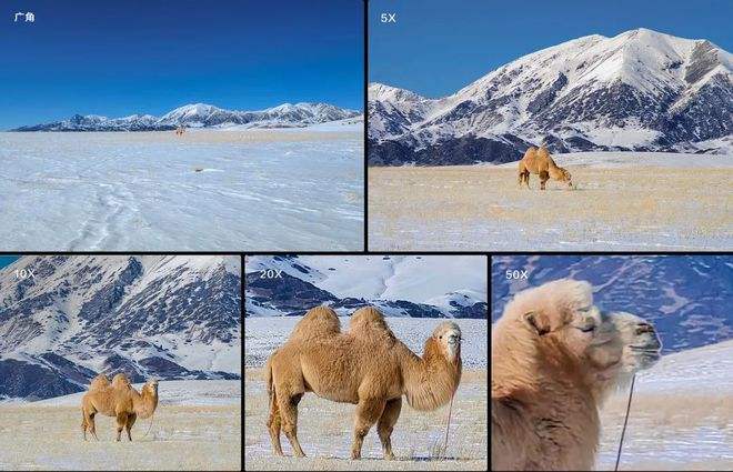 达人分享！光学变焦什么意思“高情逸态”