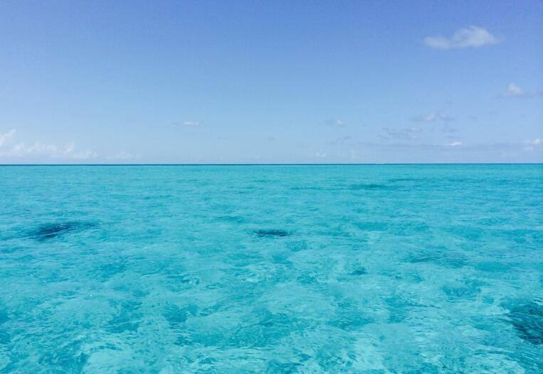 达人分享！blue什么特殊意思“高情逸态”