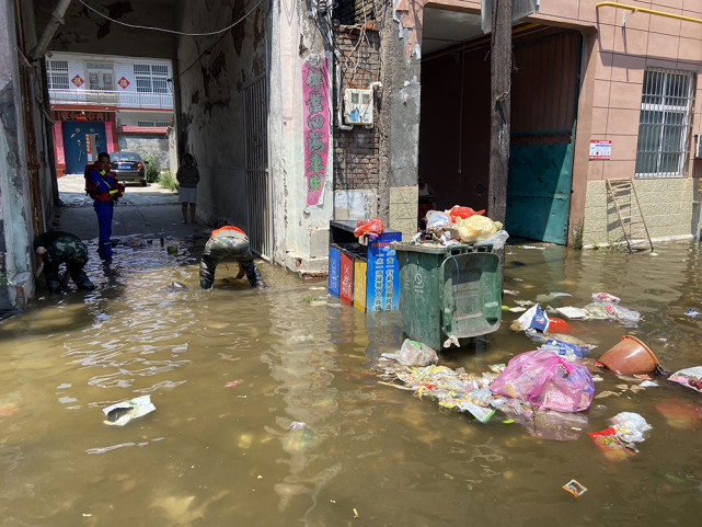 讲解！洪灾过后的河南卫辉“夏花依旧”