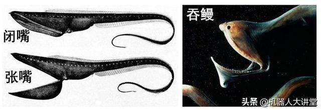 达人分享！单卡双模是什么意思“一抹红尘”