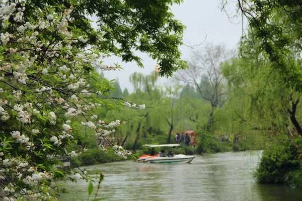 分析！8ka“桃红柳绿”