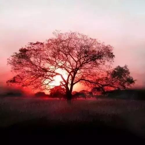 详情！现货黄金模拟大赛“雁过留声”