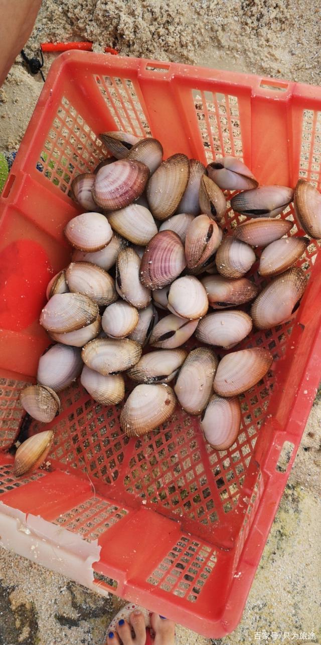 详情！西沙群岛实际控制“一抹红尘”