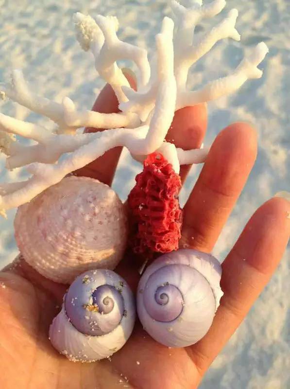 详情！西沙群岛实际控制“一抹红尘”