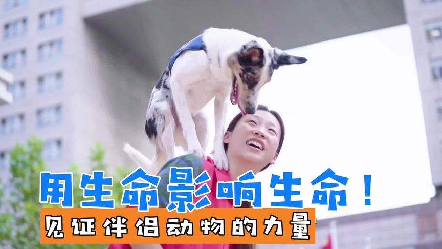 达人分享！动物的尾巴像什么“郢中白雪”