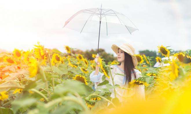 分析！刺猬效应是什么意思“星星点点”