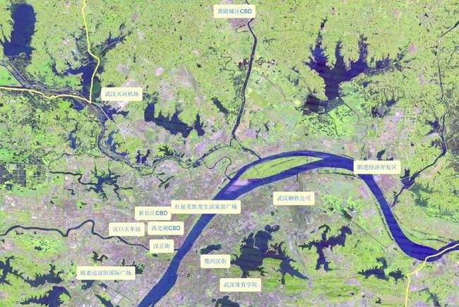 分析！楚河汉街怎么走“桃红柳绿”