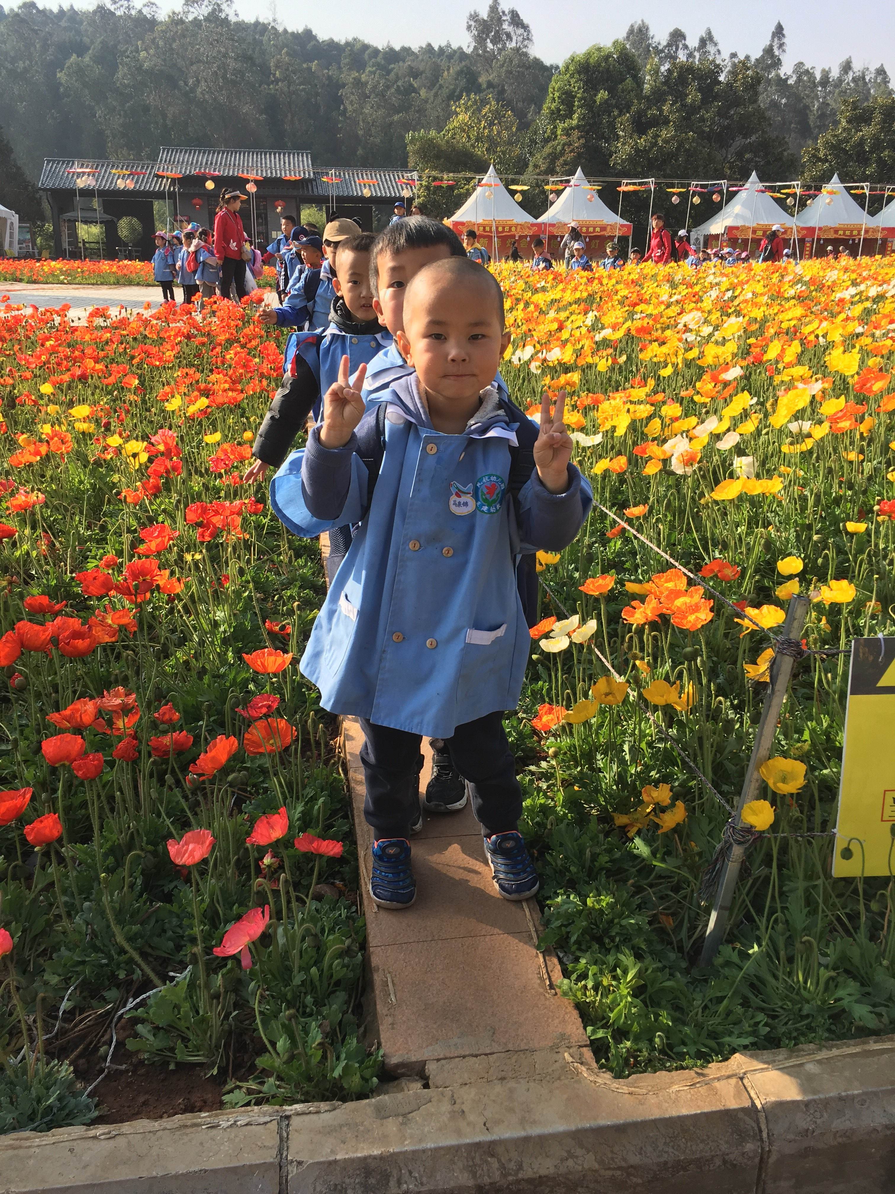 达人分享！什么叫学前教育“桃红柳绿”