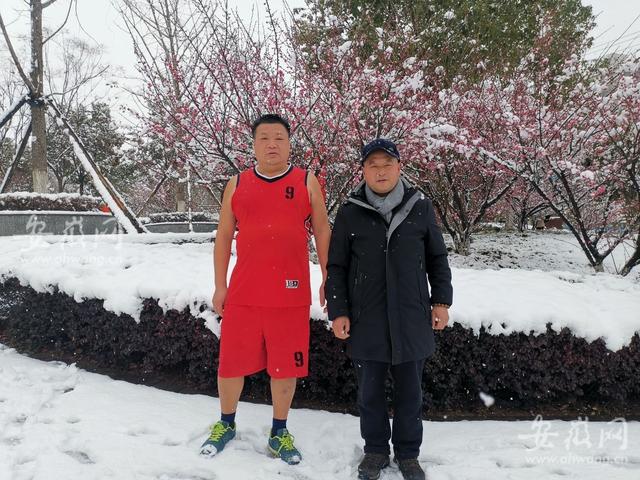 达人分享！2020年一妻两夫制新闻“郢中白雪”