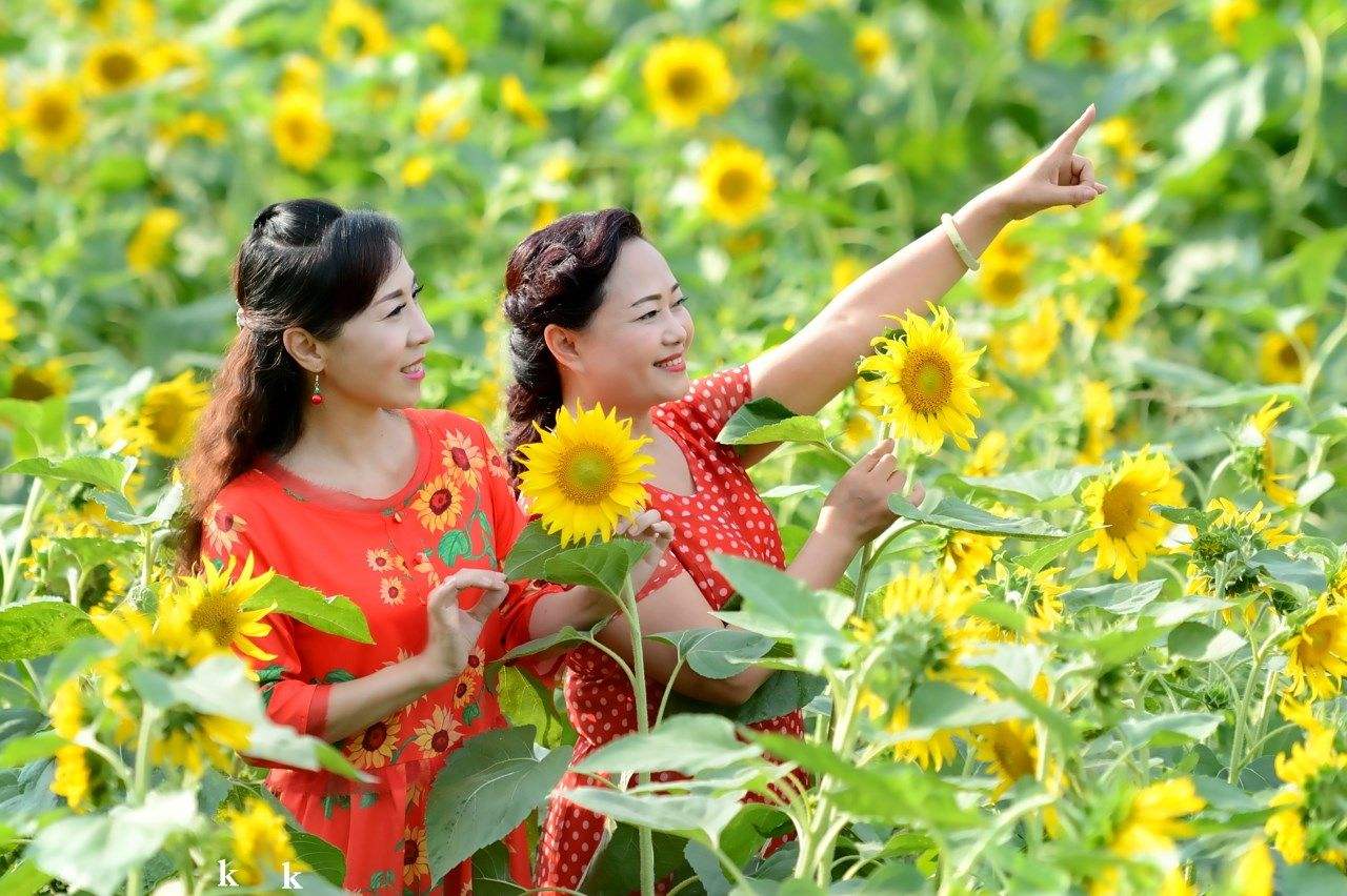 分析！笑靥如花的靥是什么意思“冰清水冷”