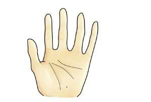 讲解！手掌相学“桃红柳绿”