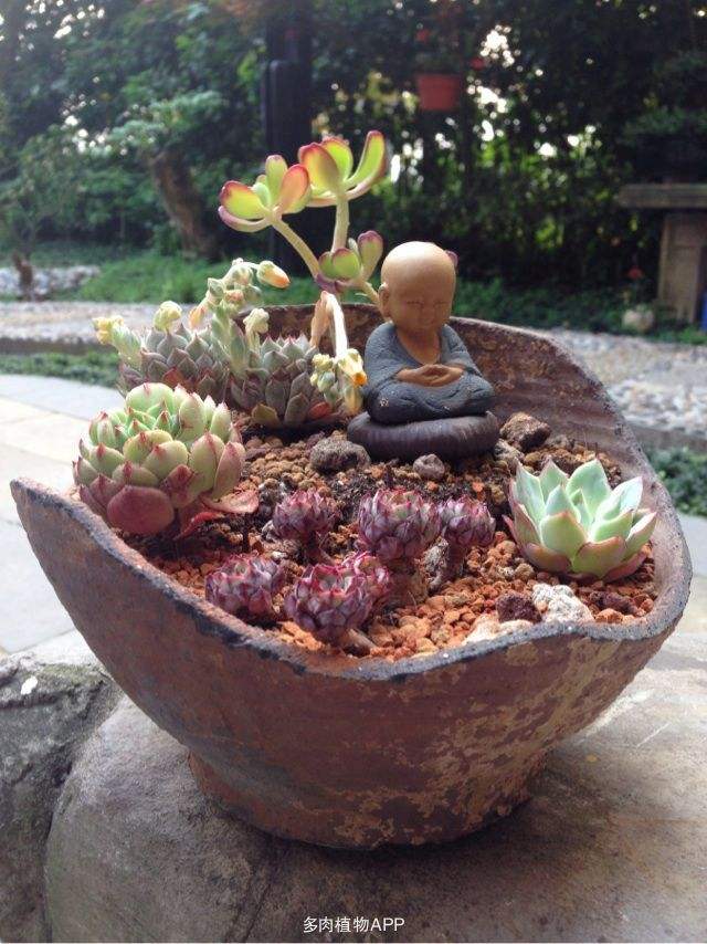 讲解！心静如水的意思“冰清水冷”