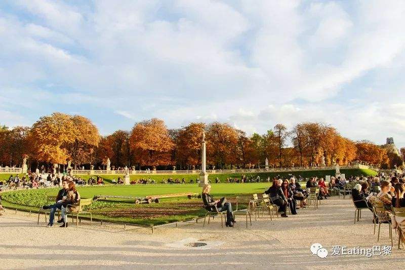 分析！班车英文“郢中白雪”