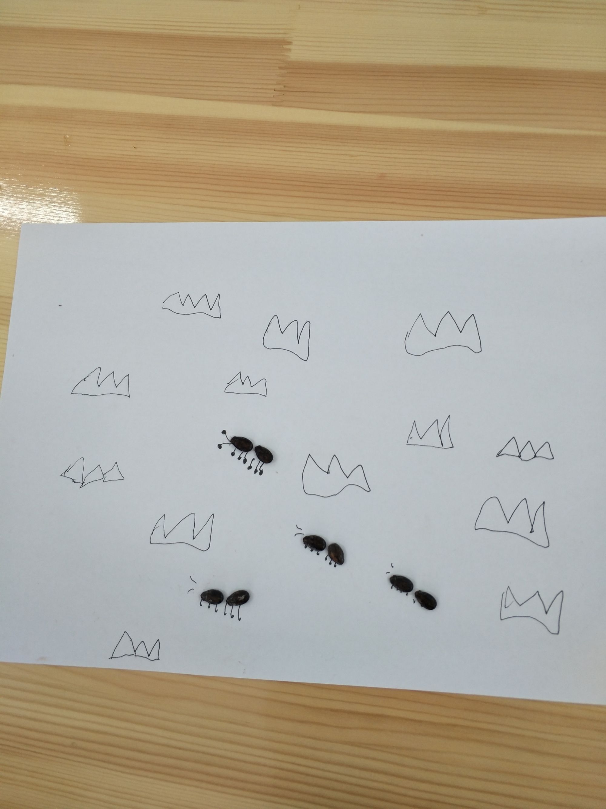 达人分享！车厘子和樱桃是什么关系蚂蚁庄园“空谷幽兰”