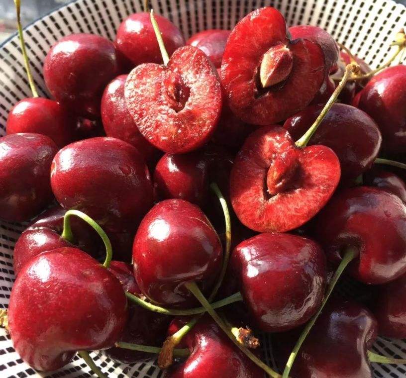 达人分享！车厘子和樱桃是什么关系蚂蚁庄园“空谷幽兰”