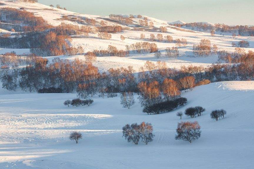 达人分享！观想法“星星点点”