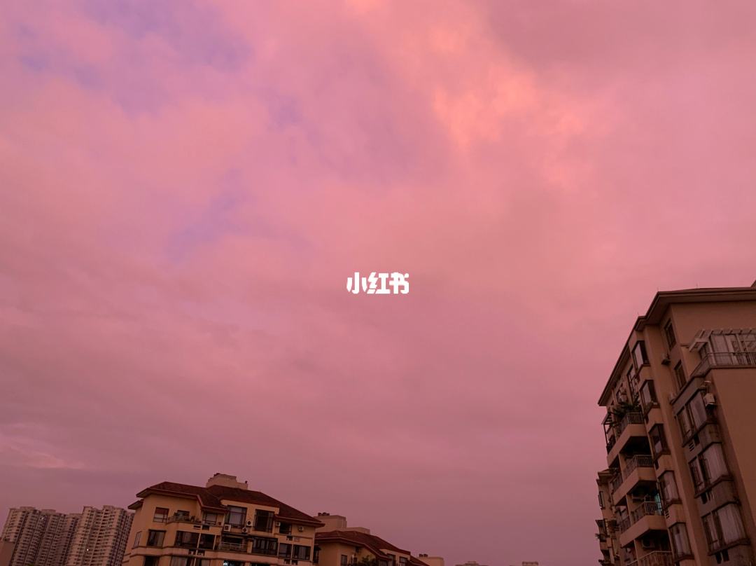 详情！天黑请闭眼外挂“高情逸态”