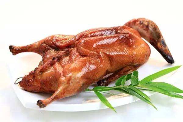 达人分享！爬山虎吃肉吗“典则俊雅”