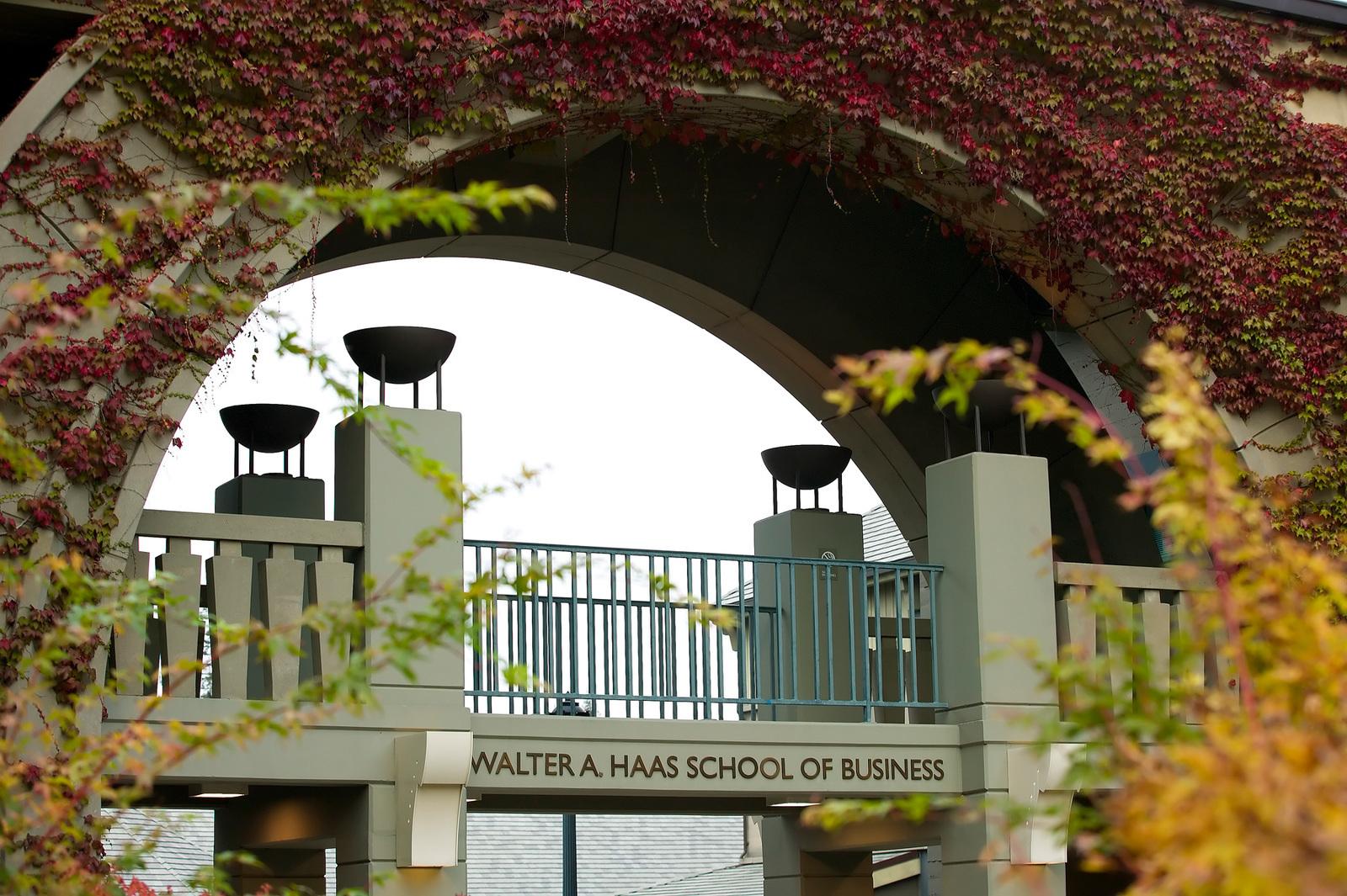 分析！gate什么意思“桃红柳绿”