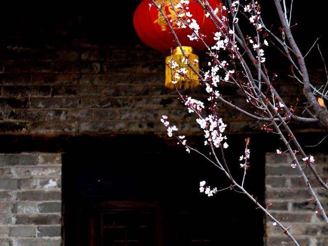 分析！浮云是什么“桃红柳绿”