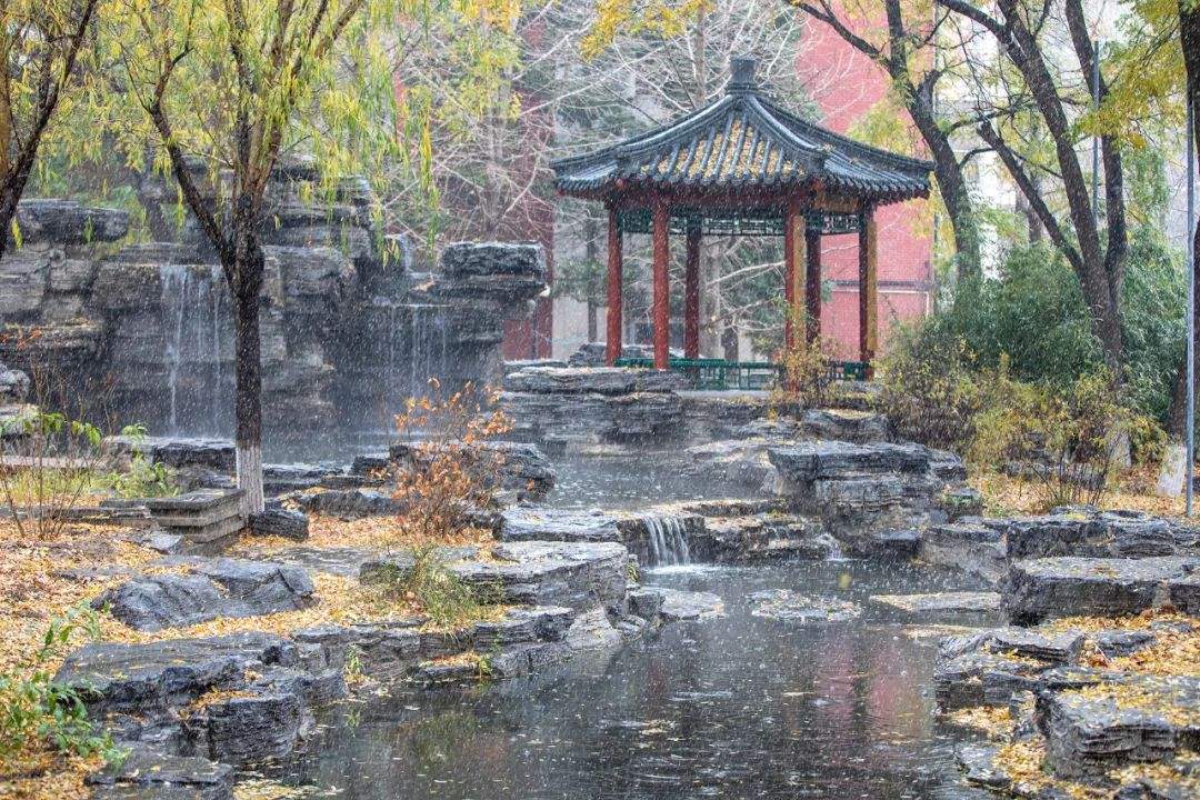 达人分享！初恋夫妇终止拍摄“郢中白雪”