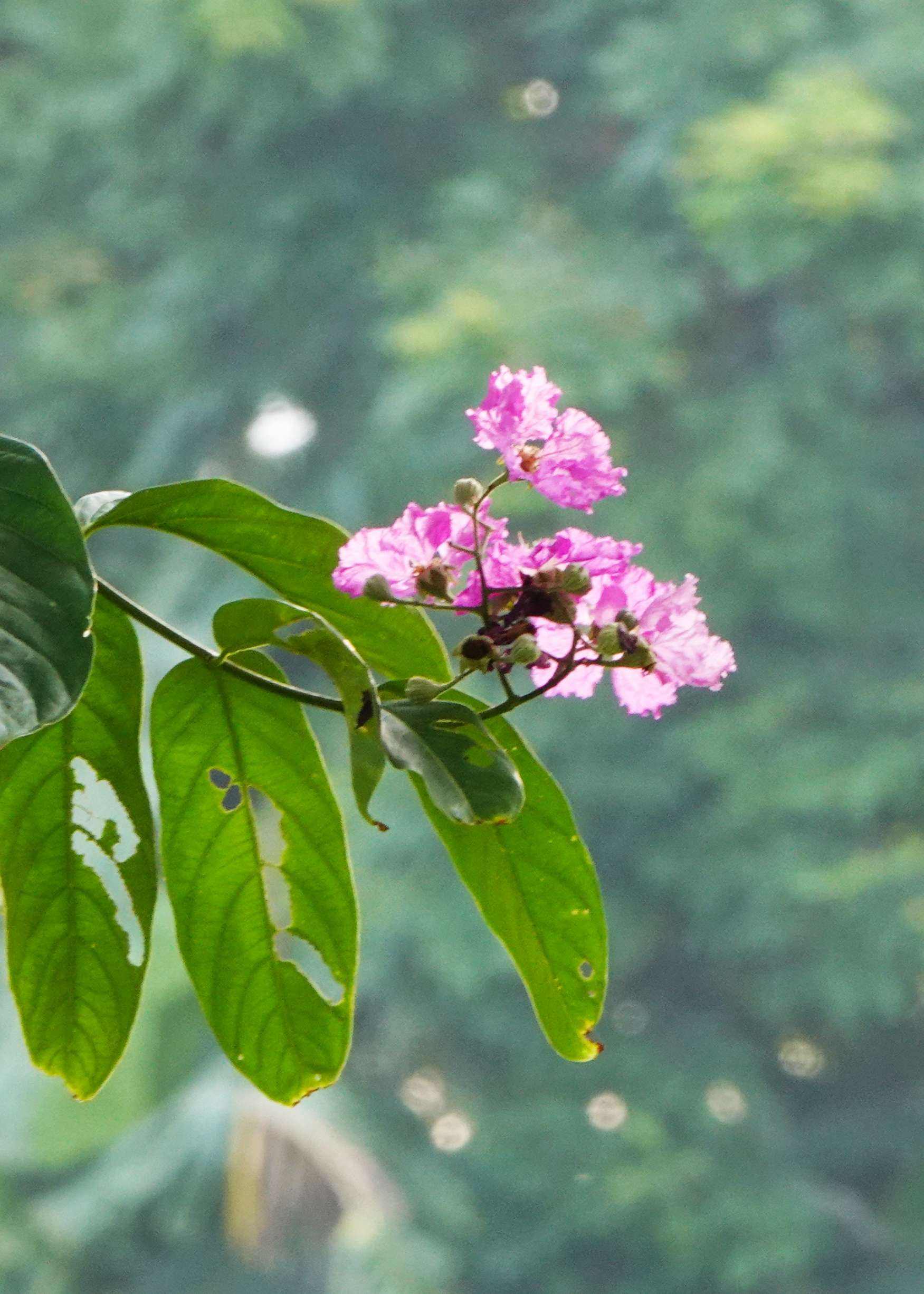 分析！手机加密相册“一抹红尘”