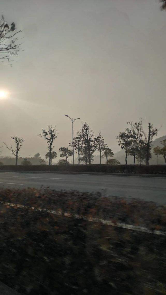 讲解！幻梦唯心三部曲“空谷幽兰”