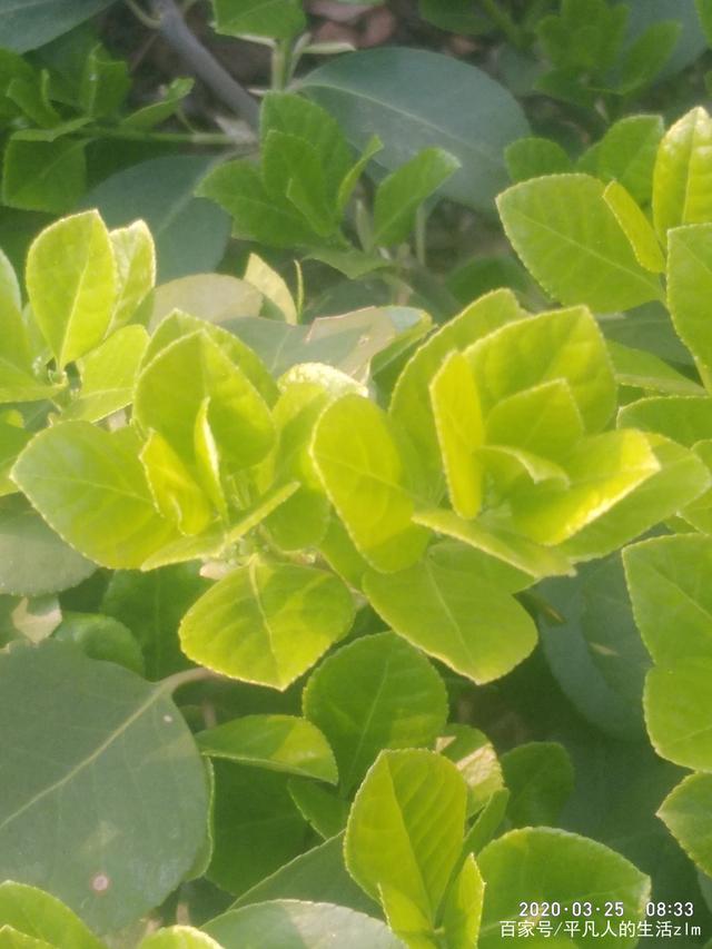 讲解！孙坚周笔畅“一抹红尘”