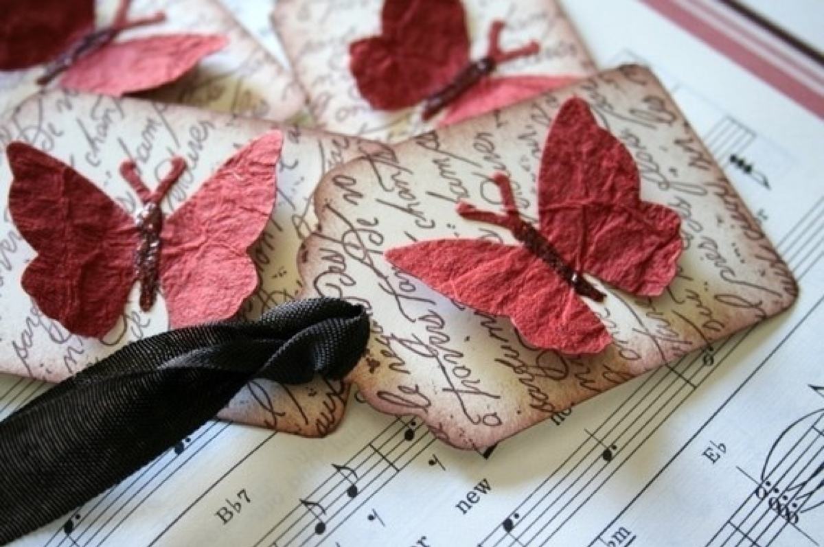 达人分享！蝴蝶的生活环境“典则俊雅”