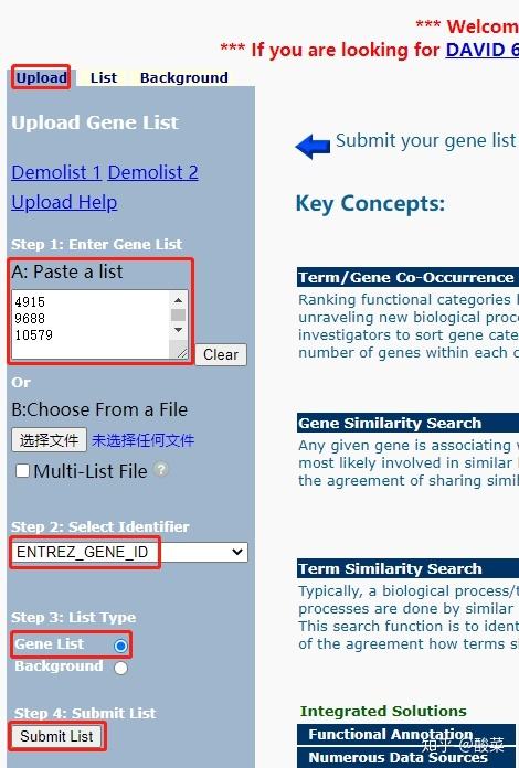 分析！逗号怎么打“冰清水冷”