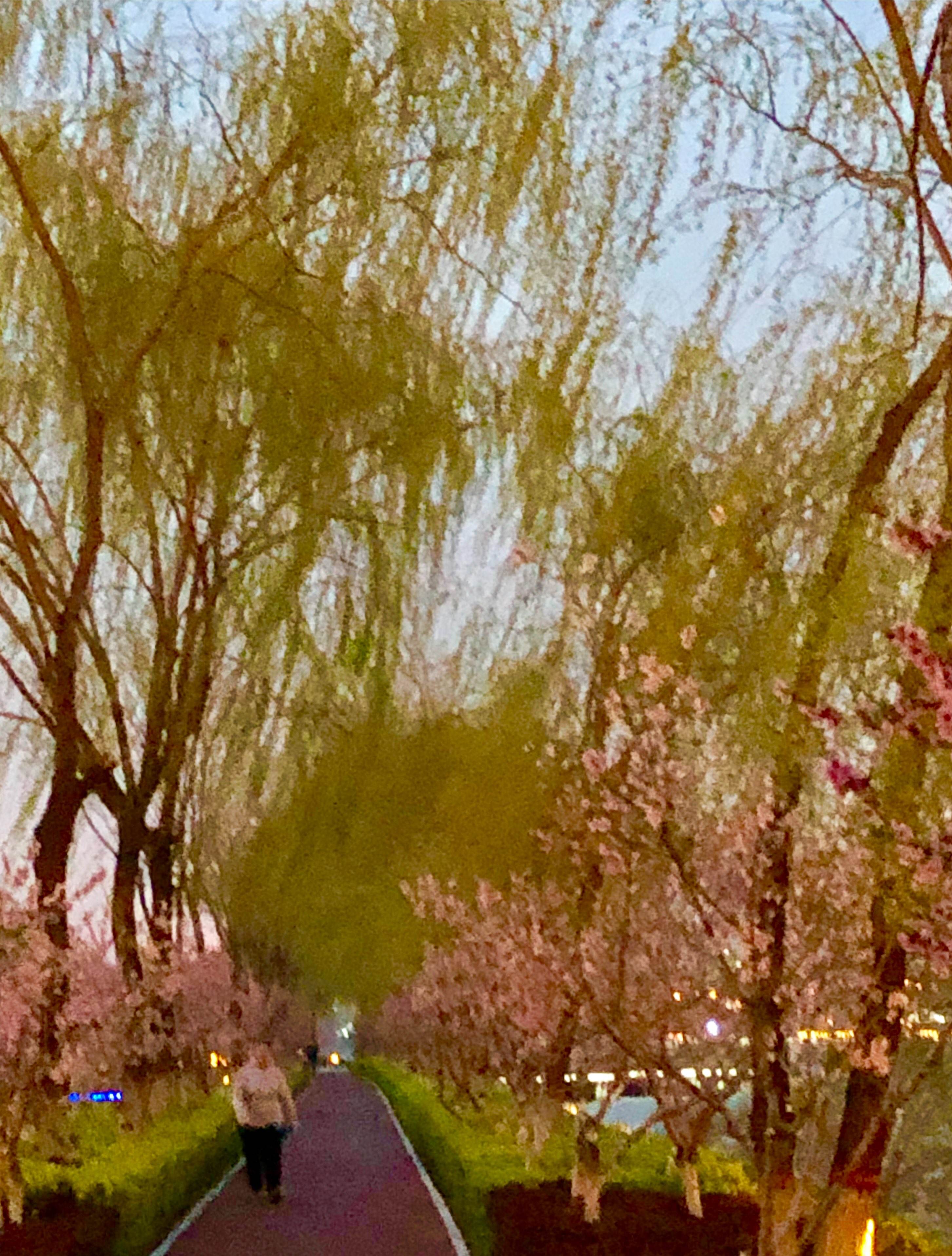 讲解！点32个赞是什么意思“桃红柳绿”