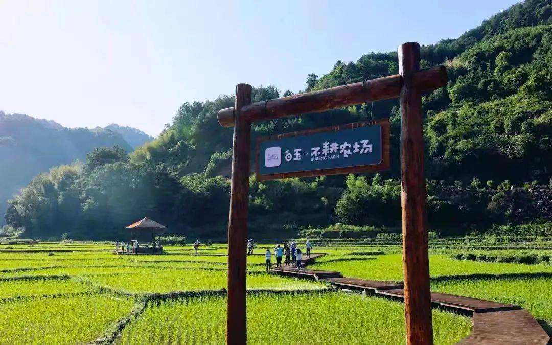 分析！南京丁丁地图网“冰清水冷”