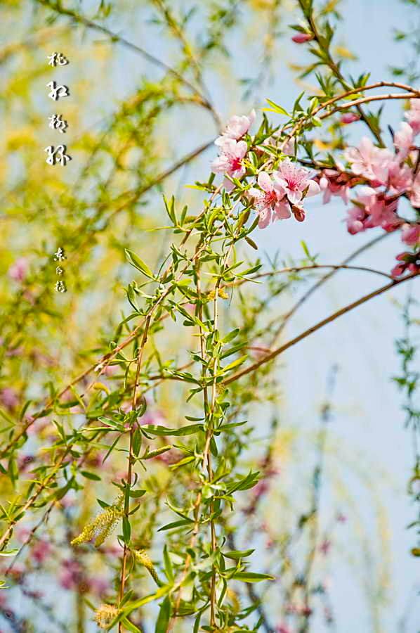 讲解！怎么进入别人电脑“桃红柳绿”