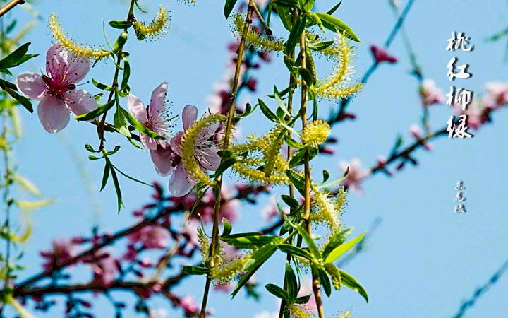 讲解！怎么进入别人电脑“桃红柳绿”