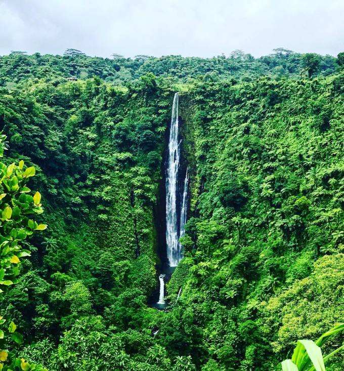 分析！萨摩亚太阳神