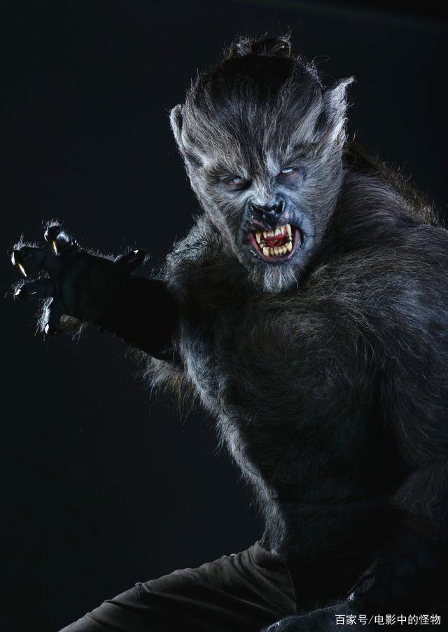 达人分享！变种女狼3“雁过留声”